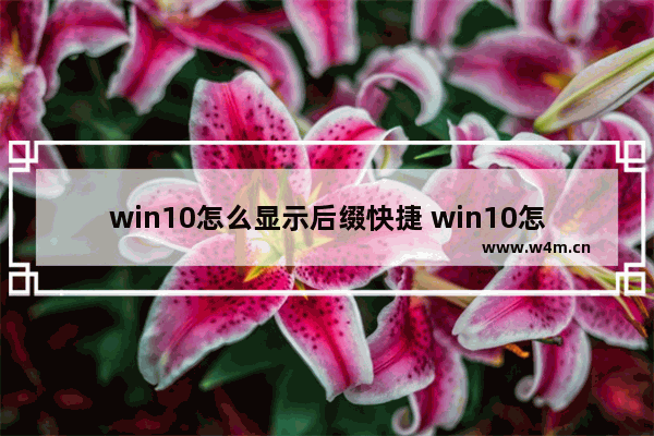 win10怎么显示后缀快捷 win10怎么显示后缀快捷键