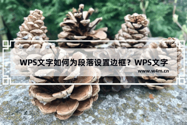 WPS文字如何为段落设置边框？WPS文字中的段落边框怎么设置？