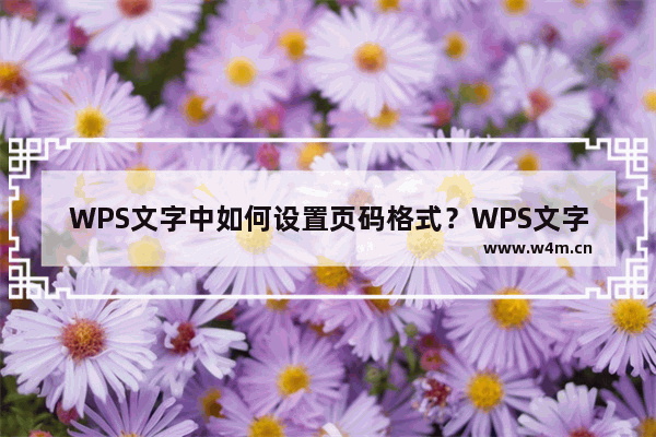 WPS文字中如何设置页码格式？WPS文字中设置页码格式的方法技巧