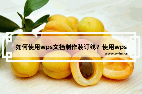 如何使用wps文档制作装订线？使用wps文档制作装订线的具体操作方法