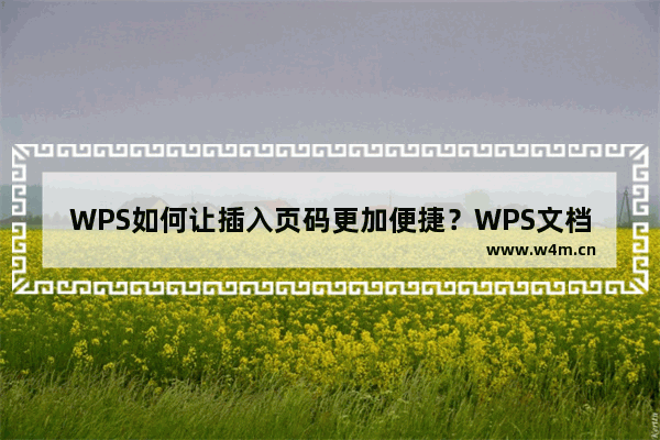 WPS如何让插入页码更加便捷？WPS文档插入页码的便捷方法