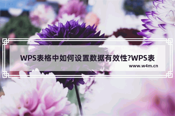 WPS表格中如何设置数据有效性?WPS表格中设置数据有效性的具体步骤