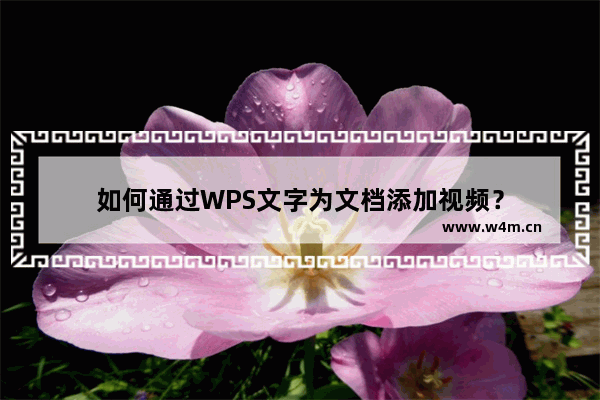 如何通过WPS文字为文档添加视频？