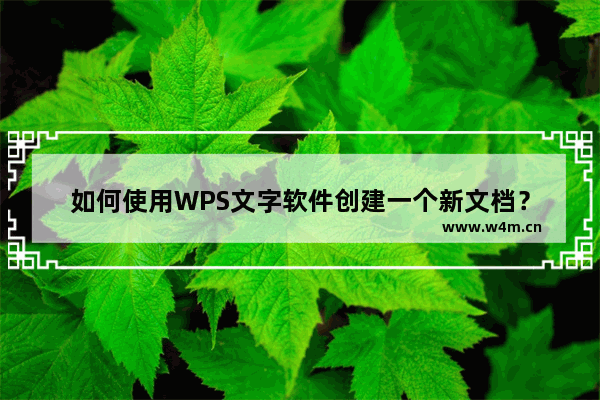 如何使用WPS文字软件创建一个新文档？