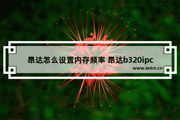 昂达怎么设置内存频率 昂达b320ipc设置内存频率