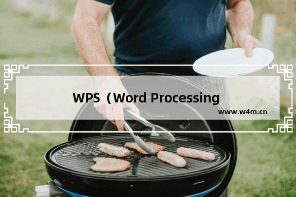 WPS（Word Processing System）是什么？