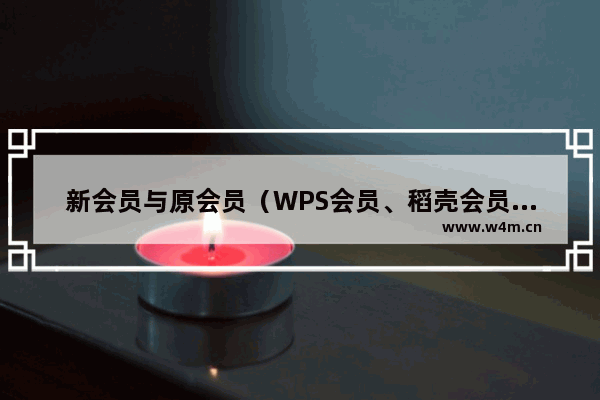 新会员与原会员（WPS会员、稻壳会员）的区别？