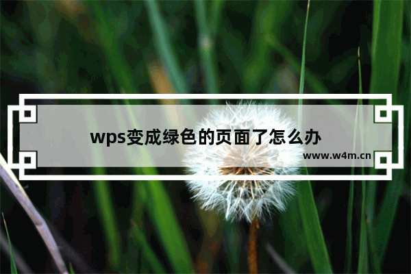 wps变成绿色的页面了怎么办