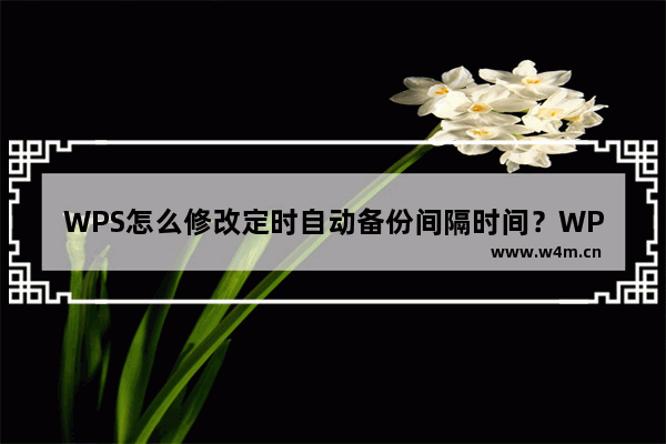 WPS怎么修改定时自动备份间隔时间？WPS修改定时自动备份间隔时间的方法教程