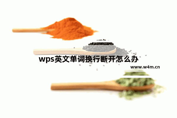 wps英文单词换行断开怎么办