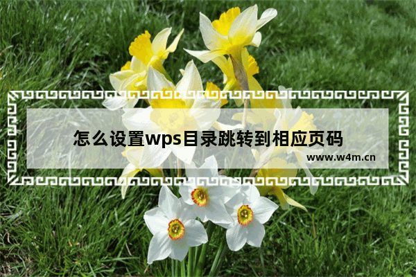 怎么设置wps目录跳转到相应页码