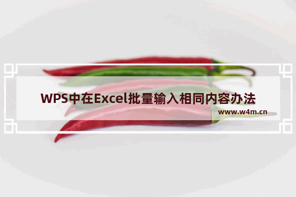 WPS中在Excel批量输入相同内容办法