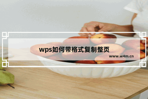 wps如何带格式复制整页