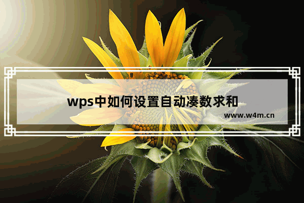 wps中如何设置自动凑数求和