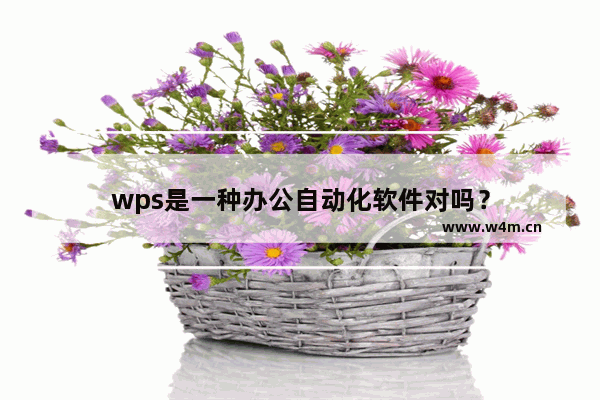 wps是一种办公自动化软件对吗？