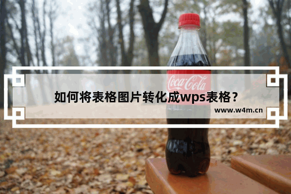 如何将表格图片转化成wps表格？