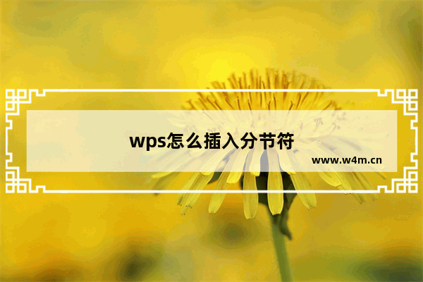 wps怎么插入分节符