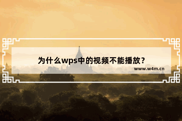 为什么wps中的视频不能播放？