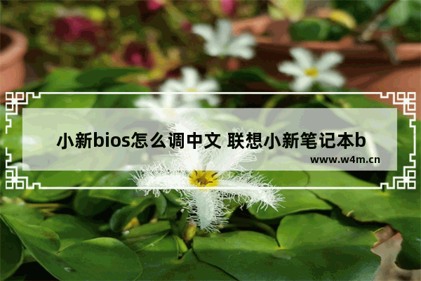 小新bios怎么调中文 联想小新笔记本bios怎么调中文