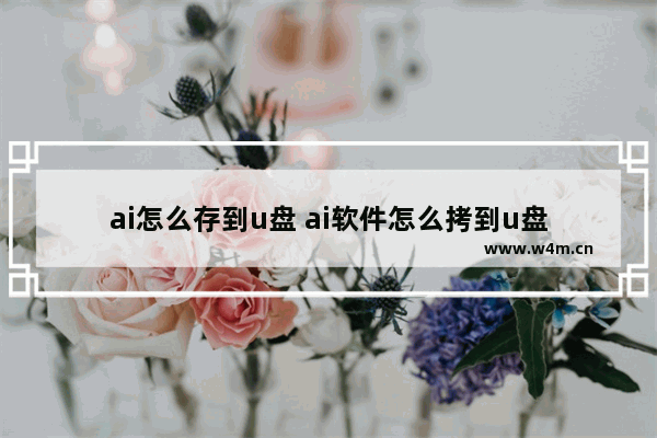 ai怎么存到u盘 ai软件怎么拷到u盘