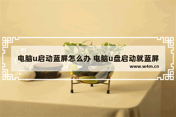 电脑u启动蓝屏怎么办 电脑u盘启动就蓝屏