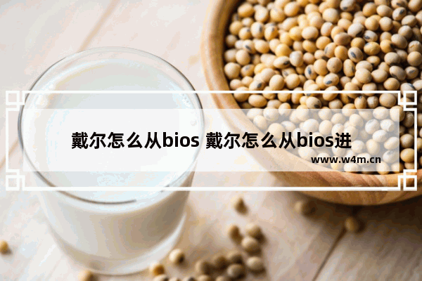 戴尔怎么从bios 戴尔怎么从bios进安全模式