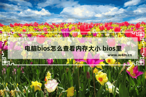 电脑bios怎么查看内存大小 bios里面怎么看内存