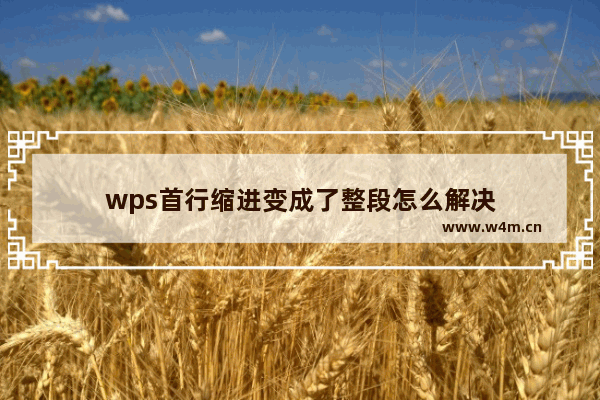 wps首行缩进变成了整段怎么解决