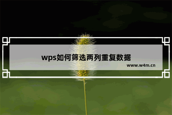 wps如何筛选两列重复数据