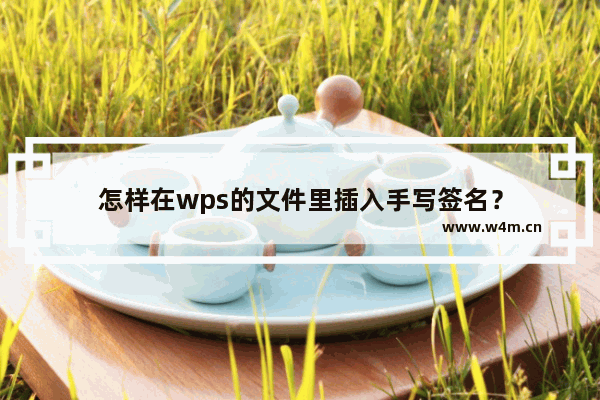 怎样在wps的文件里插入手写签名？