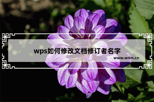 wps如何修改文档修订者名字