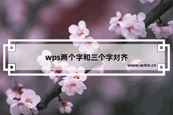 wps两个字和三个字对齐