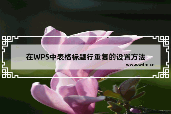 在WPS中表格标题行重复的设置方法