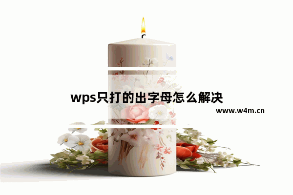 wps只打的出字母怎么解决