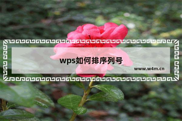 wps如何排序列号