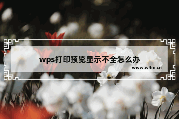 wps打印预览显示不全怎么办