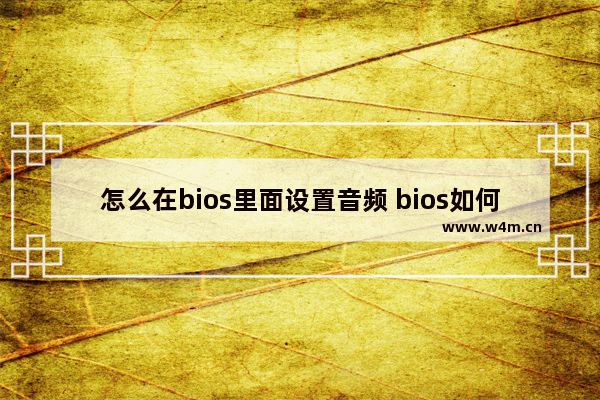 怎么在bios里面设置音频 bios如何设置音频