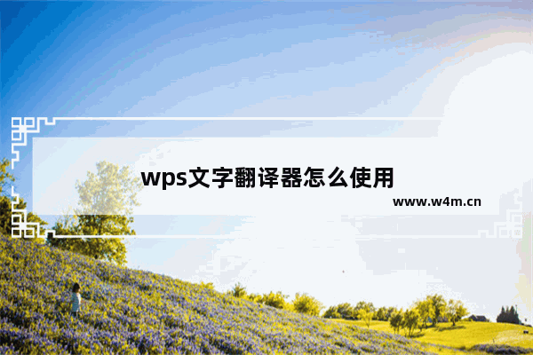 wps文字翻译器怎么使用