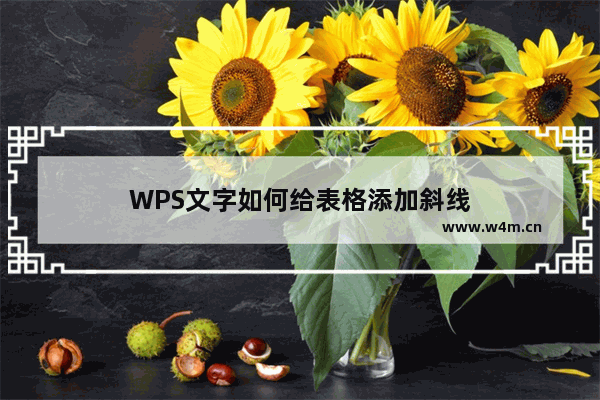 WPS文字如何给表格添加斜线