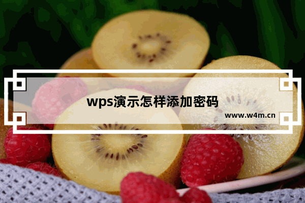 wps演示怎样添加密码