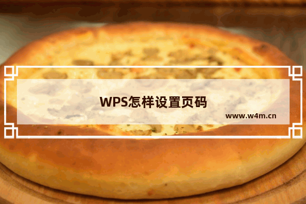 WPS怎样设置页码