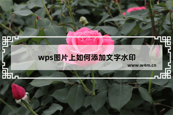 wps图片上如何添加文字水印