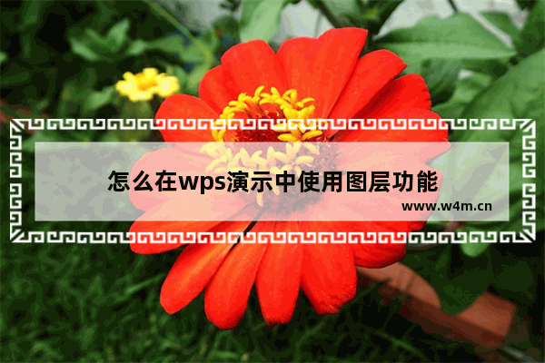 怎么在wps演示中使用图层功能