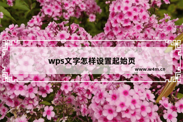 wps文字怎样设置起始页