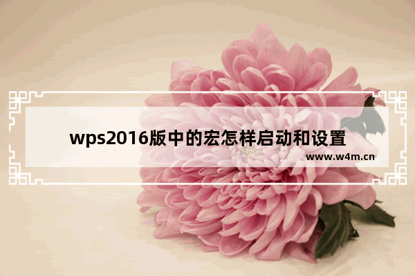 wps2016版中的宏怎样启动和设置