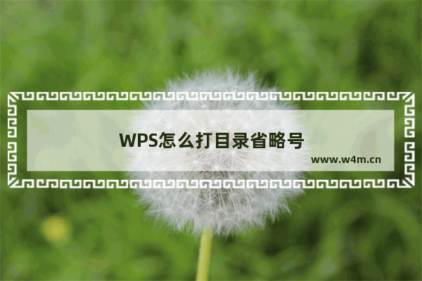 WPS怎么打目录省略号