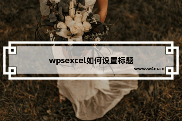 wpsexcel如何设置标题