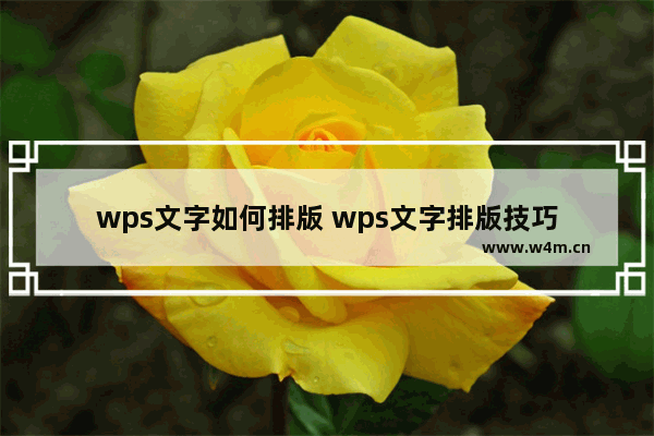 wps文字如何排版 wps文字排版技巧