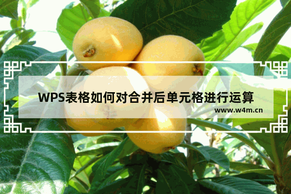 WPS表格如何对合并后单元格进行运算