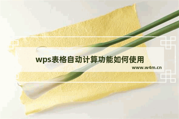 wps表格自动计算功能如何使用